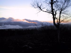 Fin og trolsk stemning p� morgenkvisten!